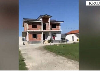 Ktheu banesën në ‘shtëpi bari’, arrestohet pronari në Krujë/ Kapen 58.5 kg kanabis