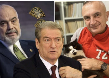 Meta ka Sashën, kurse Rama dy breshkat, po Berisha?