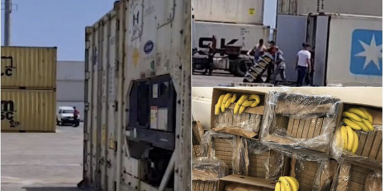 Kokaina në kontejnerin me “Bana King”, prej 3 ditësh ndodhej në Portin e Durrësit