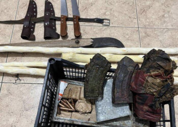 Tmerr në Tiranë/ Arrestohet 52-vjeçari, prej 6 vitesh mbante të ngujuar dhe dhunonte gruan e dy fëmijët