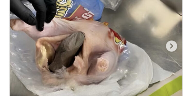 Policët zbulojnë në aeroport pulën “të mbushur” me armë