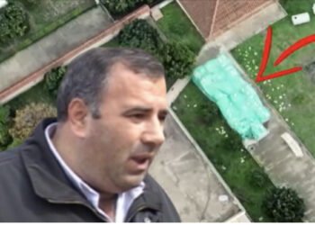 “Ça thua ore?I madh je!”/ DALIN përgjimet e zyrtarit të PS me agjentin doganor, Çervanaku: Ka sjellë çuni një maune me pleh, t’ua hedhim atyre ullinjve, ta…