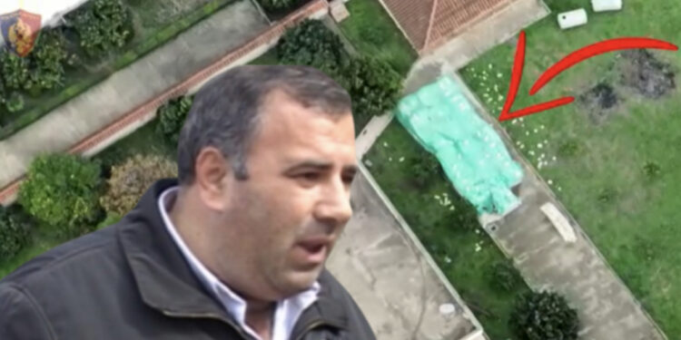 “Ça thua ore?I madh je!”/ DALIN përgjimet e zyrtarit të PS me agjentin doganor, Çervanaku: Ka sjellë çuni një maune me pleh, t’ua hedhim atyre ullinjve, ta…