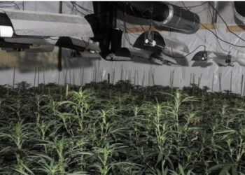 FOTO/ Shtëpi bari me vlerë 700.000 paund, tre “kopshtarët” nga Shqipëria dënohen me 76 muaj burg