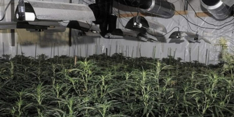 FOTO/ Shtëpi bari me vlerë 700.000 paund, tre “kopshtarët” nga Shqipëria dënohen me 76 muaj burg