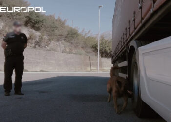 Policitë e 28 shteteve operacion në “Rrugën ballkanike”, 382 të arrestuar për drogë, armë dhe trafikim njerëzish! Pjesëmarrëse dhe Shqipëria