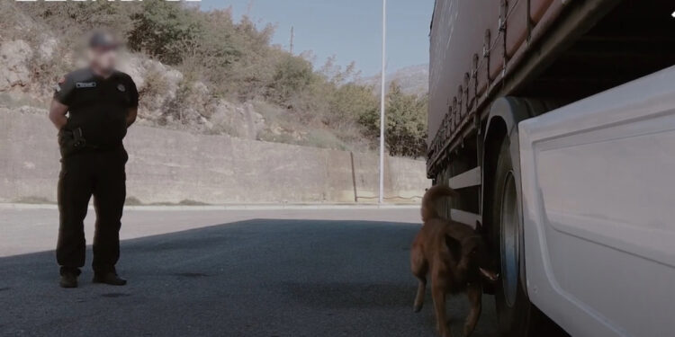 Policitë e 28 shteteve operacion në “Rrugën ballkanike”, 382 të arrestuar për drogë, armë dhe trafikim njerëzish! Pjesëmarrëse dhe Shqipëria