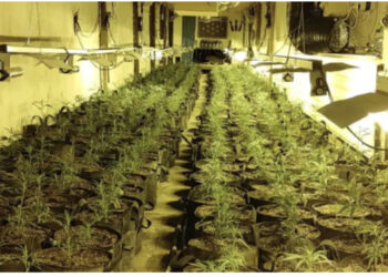 EMRI/ Brenda “shtëpisë së bari” prej 1.6 milion £, ky është shqiptari i kapur