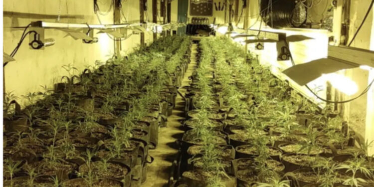 EMRI/ Brenda “shtëpisë së bari” prej 1.6 milion £, ky është shqiptari i kapur