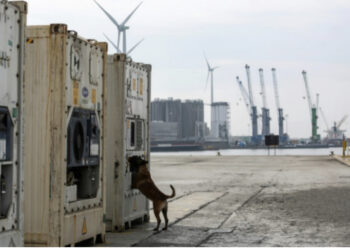 “Përdorej kryesisht nga shqiptarët”, zbërthimi i “Sky ECC” zbulon “shtëpinë e tmerreve” në Serbi ku viktimat ekzekutoheshin në video-live
