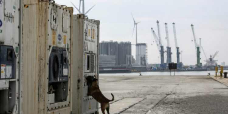 “Përdorej kryesisht nga shqiptarët”, zbërthimi i “Sky ECC” zbulon “shtëpinë e tmerreve” në Serbi ku viktimat ekzekutoheshin në video-live