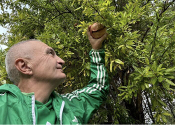 Meta pozon me shegë dhe jep mesazhin e koduar: Me sytë drejt pranverës që vjen shpejt