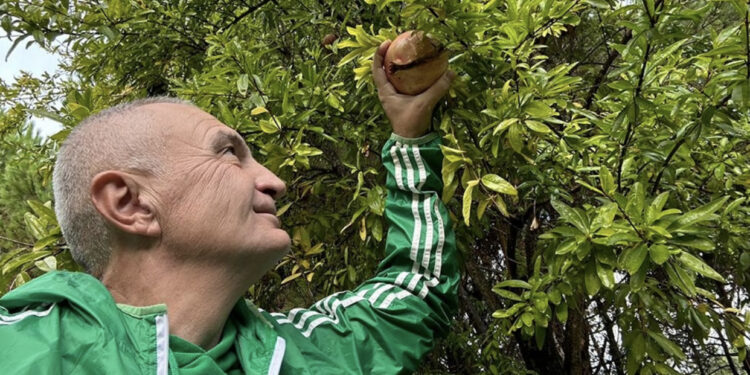 Meta pozon me shegë dhe jep mesazhin e koduar: Me sytë drejt pranverës që vjen shpejt