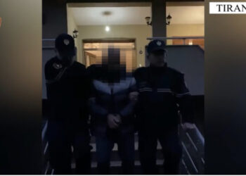 Sherr për pronën, xhaxhai automatikun në kokë nipit