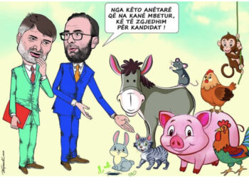 Mos e humbisni perlën e Kapexhiut: Alibeaj e Bardhi në ngërç parazgjedhor