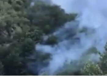 Zjarr i madh në Parkun e Dragobisë në Tropojë, zjarrfikësit në “luftë” me flakët