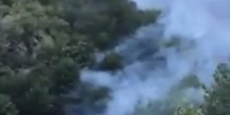 Zjarr i madh në Parkun e Dragobisë në Tropojë, zjarrfikësit në “luftë” me flakët