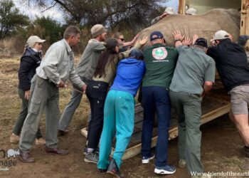 Më shumë hapësirë ​​për rinocerontët jetimë!  Friend of the Earth dhe The Rhino Orphanage bashkohen për të zgjeruar tokën e habitatit