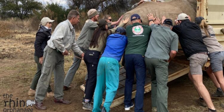 Më shumë hapësirë ​​për rinocerontët jetimë!  Friend of the Earth dhe The Rhino Orphanage bashkohen për të zgjeruar tokën e habitatit