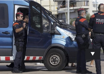 Po kultivonin mbi 5200 rrënjë kanabis, shkatërrohet organizata kriminale shqiptare në Spanjë, 6 në pranga