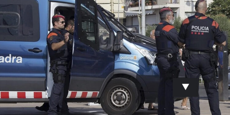 Po kultivonin mbi 5200 rrënjë kanabis, shkatërrohet organizata kriminale shqiptare në Spanjë, 6 në pranga