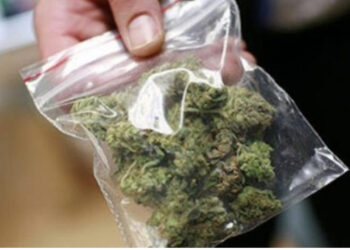 EMRI/ U shpërndante gjimnazistave kanabis, arrestohet në flagrancë 39-vjeçari në Elbasan