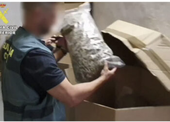 Sekuestrohet sasi rekord kanabisi në Spanjë, kushton 64 milionë euro