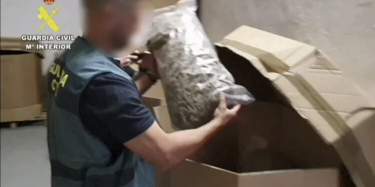 Sekuestrohet sasi rekord kanabisi në Spanjë, kushton 64 milionë euro