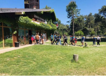 Trau në parkun e Divjakës, reagon Ministria e Mjedisit: Bileta do jetë 50 lekë dhe do të aplikohet vetëm për turistët