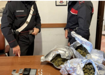 Goditet banda që trafikonte drogë në Itali, 42 urdhër-arreste mes tyre edhe shqiptarë, sekuestrohet 500 kg lëndë narkotike