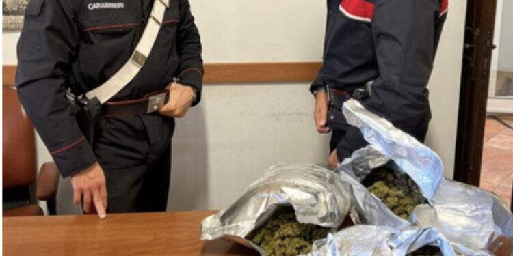 Goditet banda që trafikonte drogë në Itali, 42 urdhër-arreste mes tyre edhe shqiptarë, sekuestrohet 500 kg lëndë narkotike