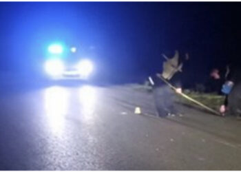 Mjeti përplas këmbësorin në Lezhë dhe“ia mbath” nga vendngjarja, i plagosuri kishte probleme me dëgjimin