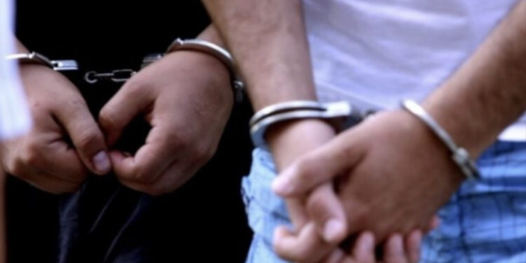 Pjesë e rrjetit të trafikantëve të drogës, policia kap dy vëllezërit turq