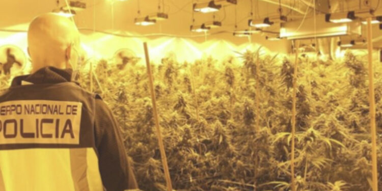 Jetë luksoze, por me makina me qira/ Goditet grupi kriminal shqiptar në Spanjë!