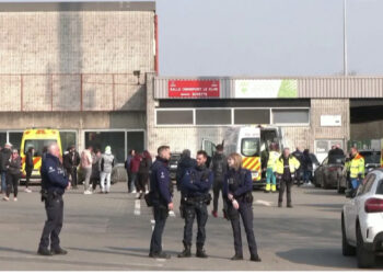 “Kokë” në trafikun e kokainës, biznesmeni sjell prokurorët belg në Tiranë