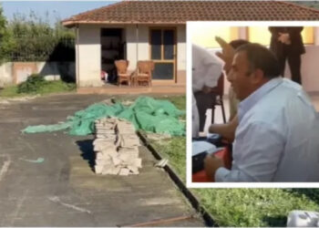 “S’e dija që kishte kokainë”, Çervanaku: Doja vetëm plehun