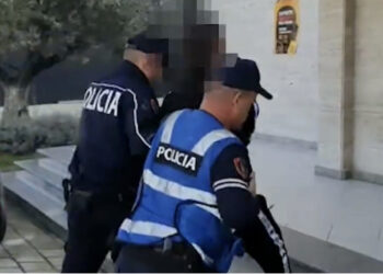 Armë dhe municion luftarak me vete, arrestohen dy të rinj në Fier