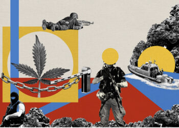 Lista e 10 shteteve kryesore për kultivimin dhe shpërndarjen e kanabisit në botë: Ja në ç‘vend renditet Shqipëria!