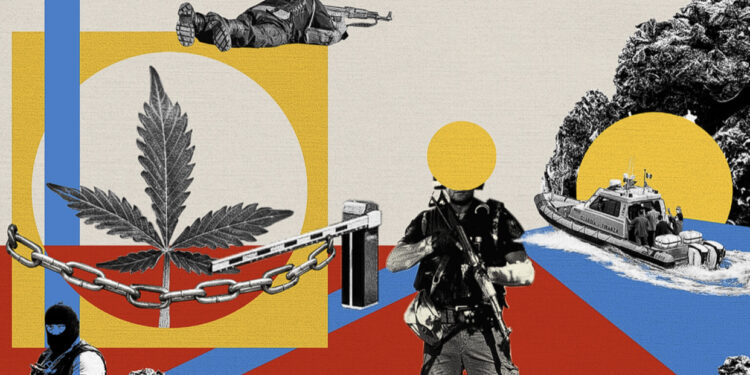 Lista e 10 shteteve kryesore për kultivimin dhe shpërndarjen e kanabisit në botë: Ja në ç‘vend renditet Shqipëria!