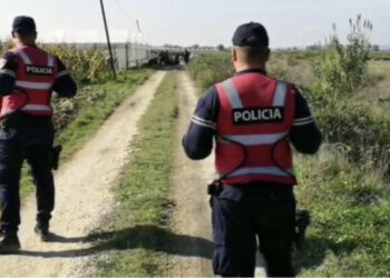 Blindonin serat e kanabisit me armë, zbardhen emrat e 8 rojeve të arrestuar në Berat