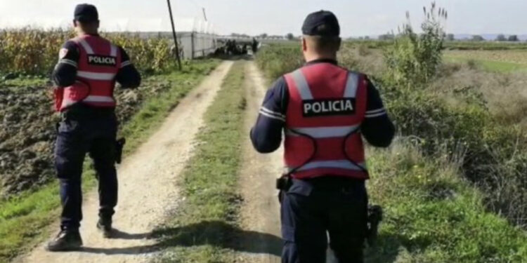 Blindonin serat e kanabisit me armë, zbardhen emrat e 8 rojeve të arrestuar në Berat