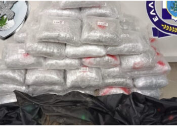 U kap me 55 kg marijuanë në mjet dhe patentë false, arrestohet 21 vjeçari shqiptar në Selanik