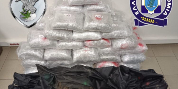 U kap me 55 kg marijuanë në mjet dhe patentë false, arrestohet 21 vjeçari shqiptar në Selanik