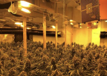 EMRI/ “Më detyruan”, kapet i riu shqiptar në “shtëpinë e barit”: Do paguaja kurimin e babait