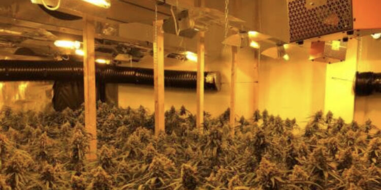 EMRI/ “Më detyruan”, kapet i riu shqiptar në “shtëpinë e barit”: Do paguaja kurimin e babait