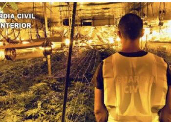 Shkatërrohet plantacioni më i madh i drogës në Spanjë, arrestohet “Leli” nga Shqipëria