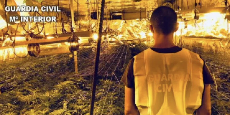 Shkatërrohet plantacioni më i madh i drogës në Spanjë, arrestohet “Leli” nga Shqipëria