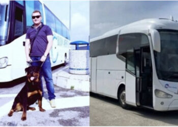 Autobusi plot me euro të padeklaruara, lirohet nga qelia Elidon Çela