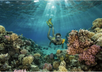 “Vendet që duhet të vizitoni në 2023”, media britanik përfshijë edhe Shqipërinë: Ujëra si në Maldive dhe brigje në ngjyrë karamele