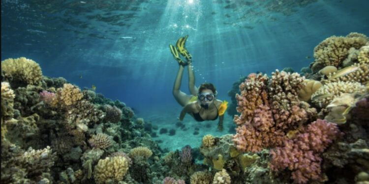 “Vendet që duhet të vizitoni në 2023”, media britanik përfshijë edhe Shqipërinë: Ujëra si në Maldive dhe brigje në ngjyrë karamele